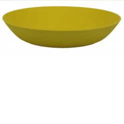 CAO16 2022 ASSIETTE CREUSE BIOPLASTIC 21CM